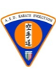 Logo Karate Evolution